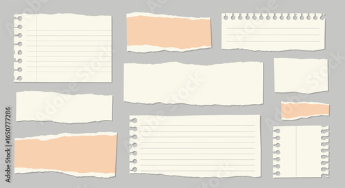 Vector art of collection of various torn paper pieces and scraps on a gray background