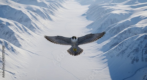 Peregrine Falcon in Flight Over Snowy Mountain Valley Aerial View
