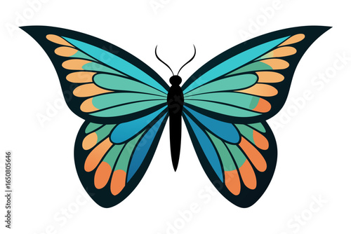 Close Up of a Butterfly Wing Showing Iridescent Scale