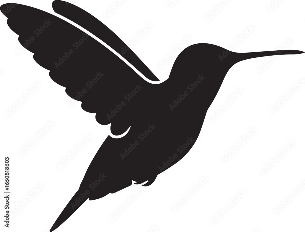 Obraz premium Black Silhouette of a Hummingbird in Flight with Wings Spread Wide