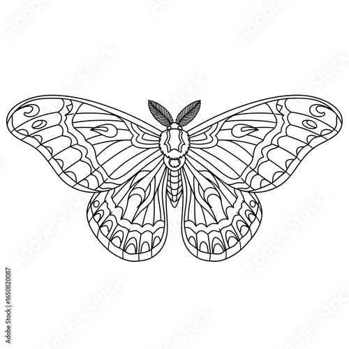 Cute Anime Amazonian Moth Coloring Page for Kids Printable Insect Animal Artwork