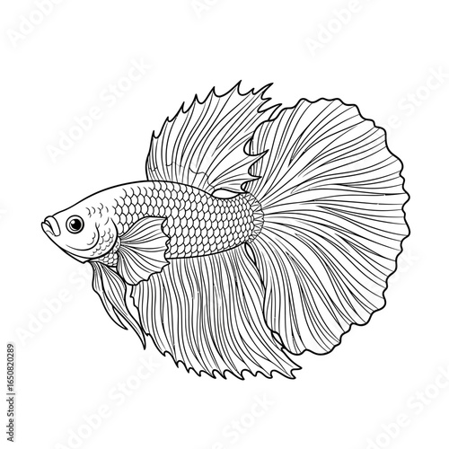 Cute Anime Amazonian Wild Betta Coloring Page for Kids Printable Aquatic Animal Artwork