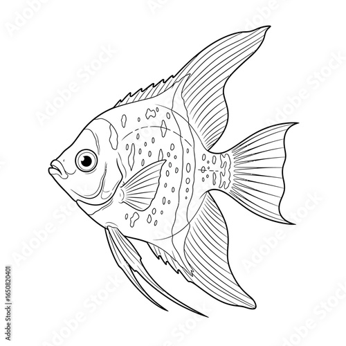 Charming Anime Style Angelfish Coloring Page for Children Adorable Amazon River Fun