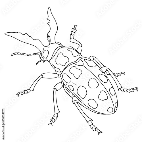 Cute Anime Style Amazon Harlequin Beetle Coloring Page for Kids Black and White Jungle Bug Art