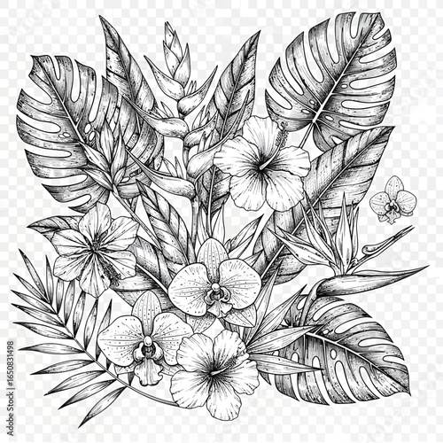 Detailed black and white ink drawing of a tropical bouquet with hibiscus orchids monstera leaves and bird of paradise flowers in a vintage style.