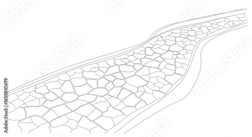 Serene Stone Pathway Illustration Depicting Tranquility and Journey, Ideal for Conceptual Designs and Visualizations for Landscape and Architectural Projects