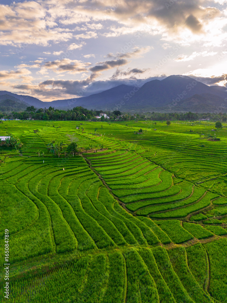 Fototapeta premium Wonderful sunrise scenery indonesia nature mountain valley forest with bright sky