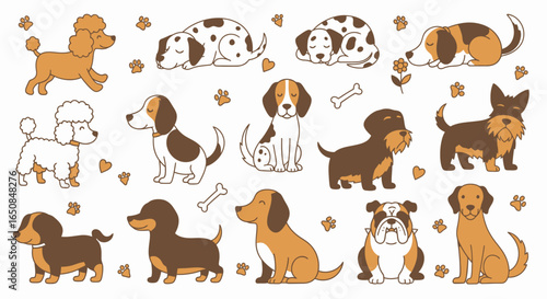 Diverse Dog Breeds Illustration for Educational Resources, Pet Product Design, and Veterinary Clinic Promotions, Ideal for illustrating pet care guides or decorating veterinary websites.