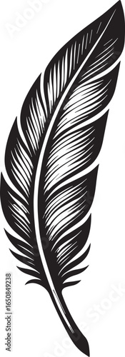 Tattoo design of a feather