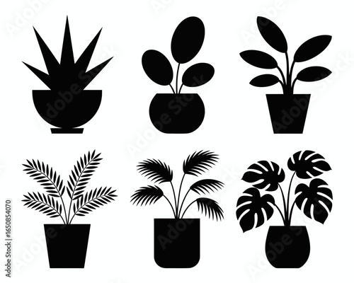 Collection of six potted houseplants silhouette isolated on white background