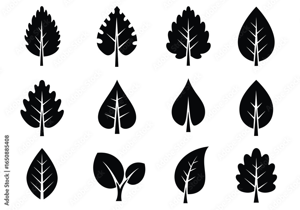 Obraz premium Botanical Illustration of Various Leaf Silhouettes A Diverse Collection of Natural Shapes and Forms Displayed as Black and White Graphics