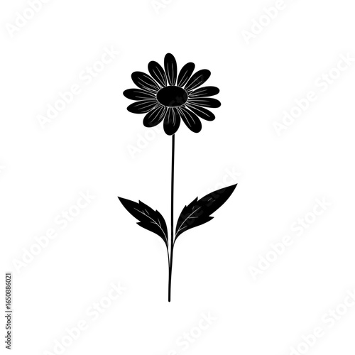 Wallpaper Mural Daisy Vector Torontodigital.ca