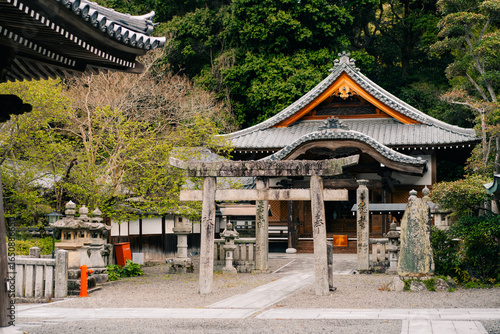 Canvas Print shikoku, JAPAN - may 2 2025 No