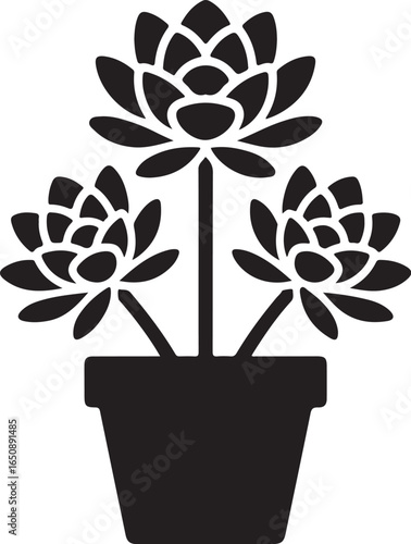 Elegant potted lotus flowers bloom, bringing natural beauty indoors