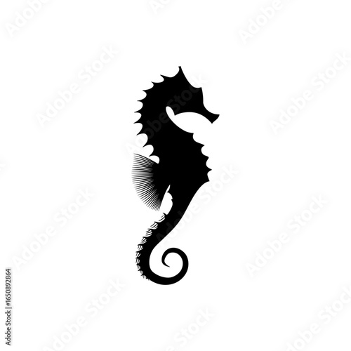 Seahorse Vector