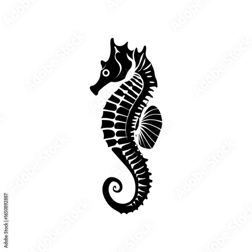 Seahorse Vector