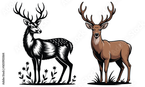 set of deer