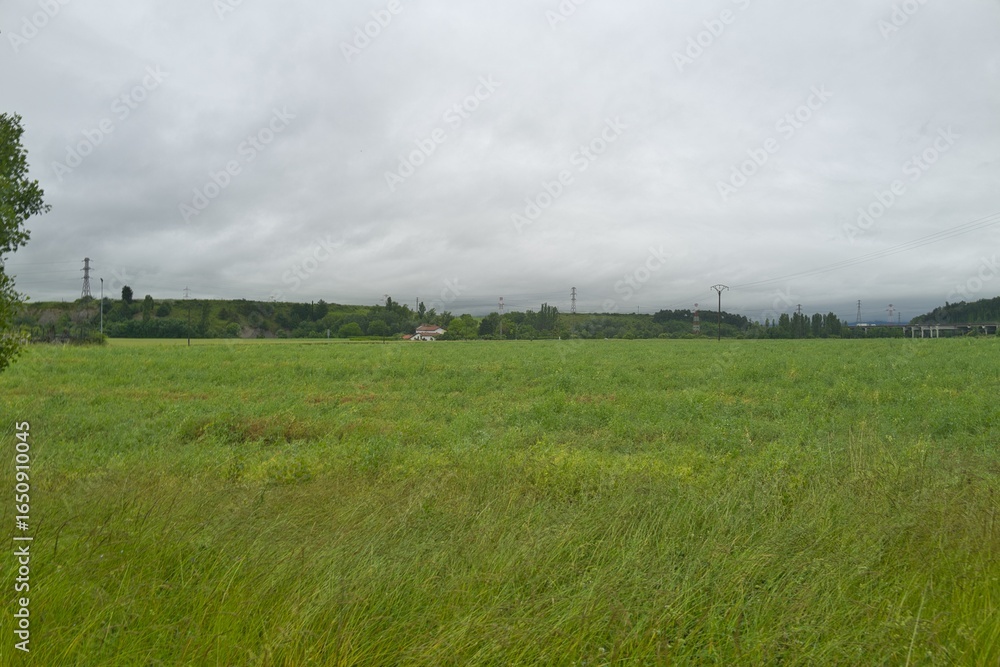 Obraz premium 자연 경관 녹색 들판 풍경
