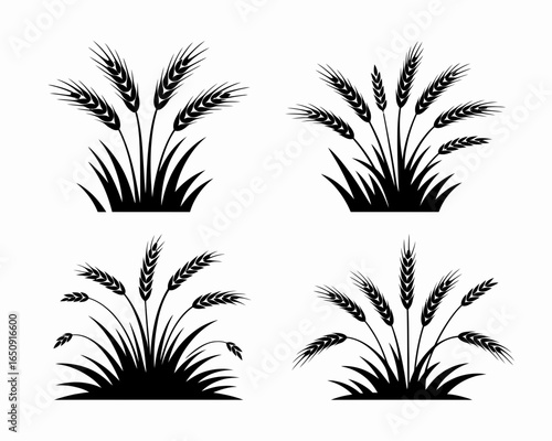 Four black wheat stalk silhouettes isolated on white background