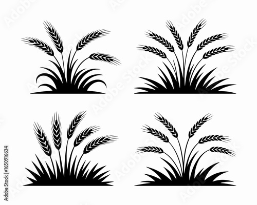 Four black wheat stalk silhouettes isolated on white background