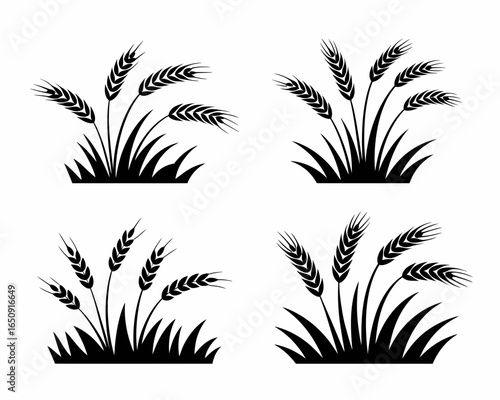 Four black wheat stalk silhouettes with grass isolated on white background
