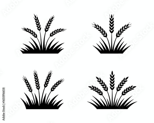 Four black wheat stalk silhouettes growing in grass isolated on white background