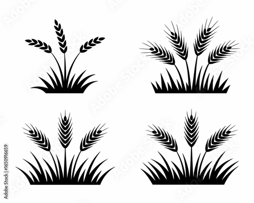 Four stylized wheat stalks silhouette isolated on white background