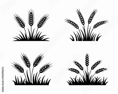 Four black wheat stalk silhouettes with grass isolated on white background