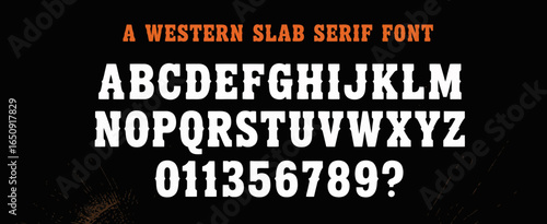 This stunning display of a classic western slab serif font offers charm and durability in any design, making it ideal for a variety of print and digital projects.