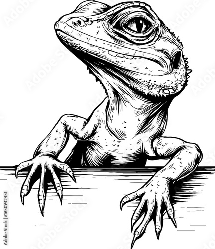 Hand drawn engraving of a lizard with bold black lines for retro design