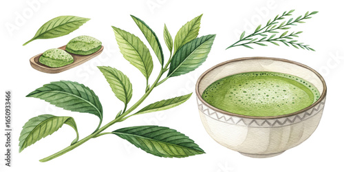 Watercolor Matcha Tea Composition Leaves, Sweets, and Drink, Isolated on Transparent Background, Matcha, Watercolor, Tea