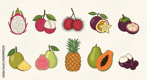 Illustration of a variety of tropical fruits including dragon fruit lychee rambutan and pineapple on white