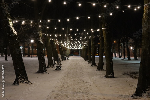 people walking in the city