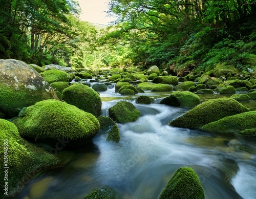 landscape with lush green foliage moss covered rocks and tranquil stream with smooth stones