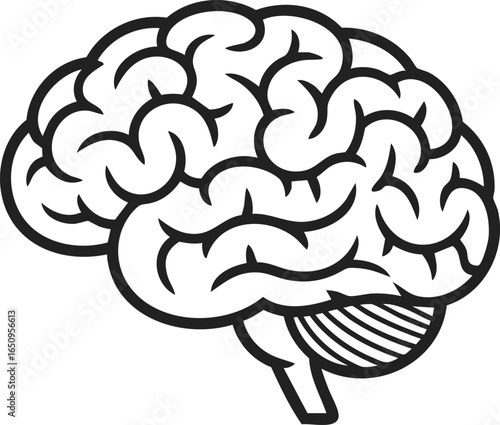 Brain, human intellect, cognitive symbol, mental capacity, neural structure, learning concept, thought representation, vintage engraving depiction