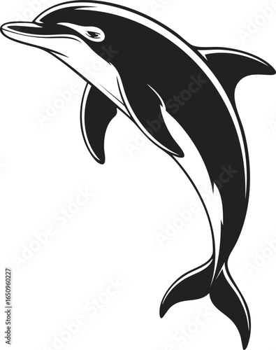 Dolphin, marine mammal, playful creature, graceful swimmer, ocean dweller, aquatic animal in vintage engraved style illustration