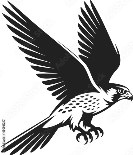 Falcon silhouette, bird of prey, soaring raptor, majestic falcon, wildlife engraving, flight illustration, nature vector design, wildlife art, predatory bird, vintage wildlife print