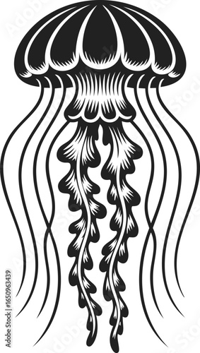 Jellyfish, marine creature, underwater organism, graceful swimmer, ocean dweller, tentacle display, aquatic art