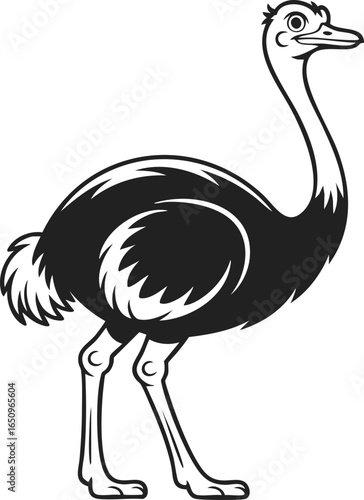 Ostrich, large flightless bird with long neck, unique posture, perfect for retro designs, nature themes, and wildlife art