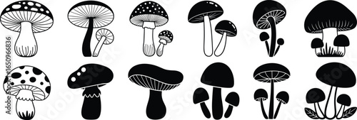 Black and white mushroom vector set, hand-drawn fungus illustrations, various mushroom shapes, nature design elements, organic food, botanical collection