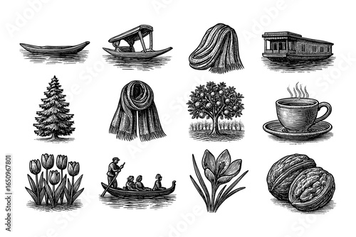 Vintage engravings of nature, boats, and daily life objects