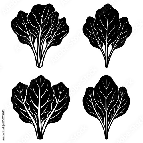 Four stylized black and white spinach plants with detailed leaf veins on a white background design element