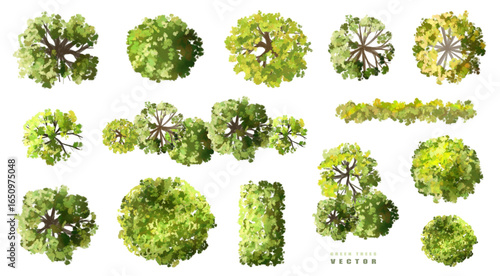 Vector watercolor green tree or forest top view isolated on white background for landscape plan and architecture drawing,plant for environment or garden,botanical element for exterior layout