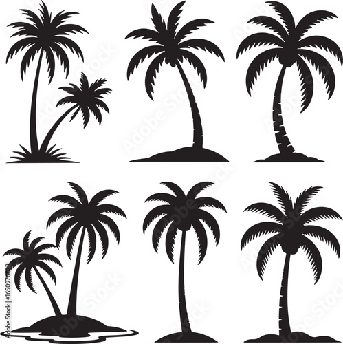 Silhouette Collection of Palm Trees on White Background tropical nature