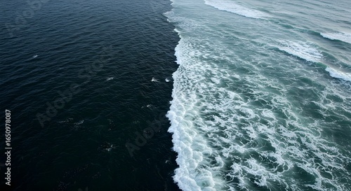 A stunning natural scene where river water meets vast sea water, creating a unique split of two different worlds of nature.
