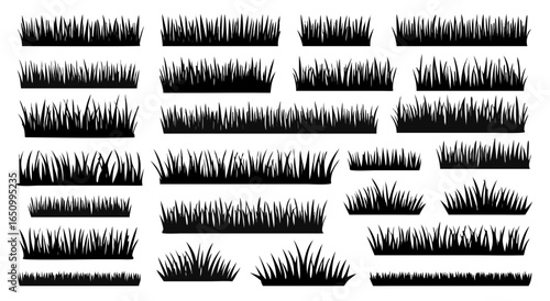 Collection of wild grass and meadow plants in silhouette style representing various types of vegetation