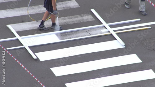 Applying road markings. Paint a pedestrian crossing with white color paint. Highway crosswalk working. Dividing line