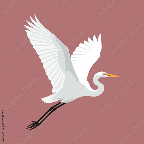 Elegant Great Egret in Flight with Graceful Wings and Serene Background Illustration for Wildlife and Nature Projects