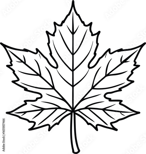 Maple Leaf Black Outline Icon vector