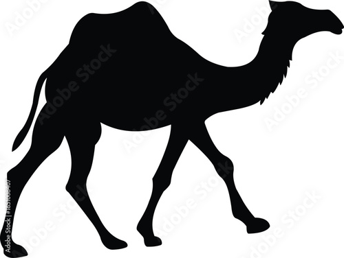 Silhouette of a camel walking across a desert landscape